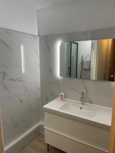 格勒诺布尔magnifique Duplex avec 2 chambres et parking gratuit的白色的浴室设有水槽和镜子