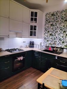 华沙Kwatera Paprotka 23的厨房配有绿色橱柜和炉灶。 顶部烤箱