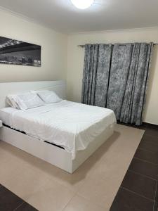 内罗毕Furnished 2 Bedroom Apartment in Lavington Nairobi的卧室配有白色的床和窗户。