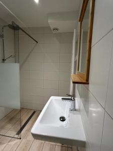 霍勒姆Appartement De Wadloper, Resort Amelander Kaap!的浴室配有白色水槽和淋浴。