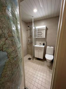 于韦斯屈莱Rovio Retrohome的一间带卫生间和水槽的浴室