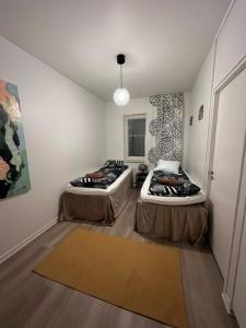 于韦斯屈莱Rovio Retrohome的客房角落设有两张床。