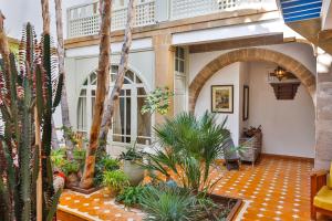 索维拉车姆斯布鲁酒店的种有棕榈树和植物的室内庭院