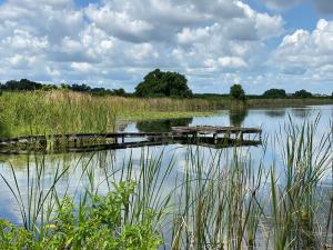 Lake AlfredThe Signature Orange Grove Suite的水体中间的码头