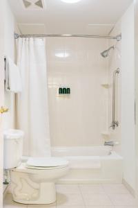佛罗伦萨佛罗伦萨春季山丘套房酒店的白色的浴室设有卫生间和浴缸。