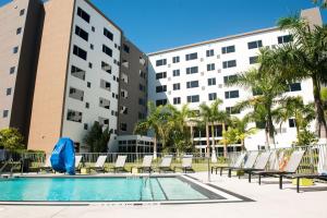 迈阿密迈阿密多拉元素酒店的一座带躺椅和棕榈树的游泳池,位于大楼前