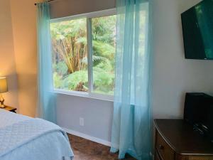 沃尔卡诺Puolani Iki-Sweet lil cottage near National Park的一间卧室设有蓝色窗帘的窗户