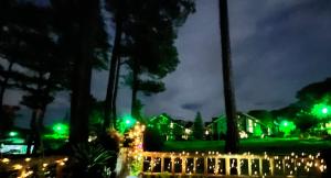 碧瑶CAMPJOHNHAY Forest Estate的夜晚有绿灯的房屋