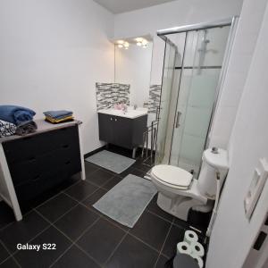 圣旺Saint Ouen Appartement cosy的浴室配有卫生间、盥洗盆和淋浴。