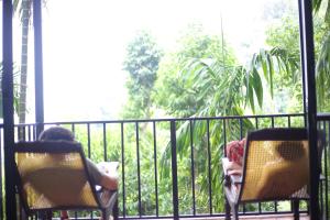 埃拉斯里兰卡爱瑞那生态酒店和瑜伽中心的两个孩子坐在椅子上,阳台俯瞰着窗外