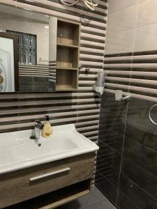 MiochoFamily & Friends Apartments的一间带水槽、镜子和淋浴的浴室