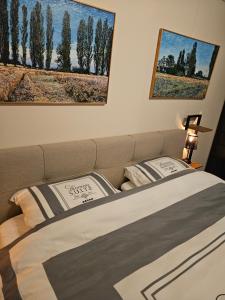 埃曼Artz of Nature的一间卧室配有一张带两个枕头的床