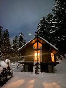 泽尔内什蒂Bramble Tiny House的雪中小屋,灯光照亮