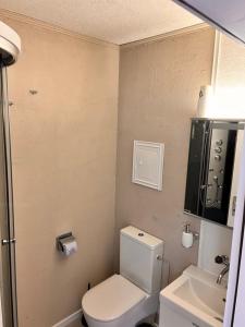 格舍嫩AFA的一间带卫生间和水槽的小浴室