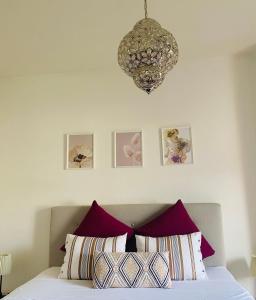 日内瓦HOCORAS Apartment的一间卧室配有一张带吊灯的床。