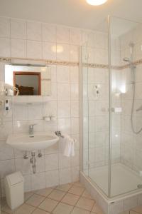 特雷加斯特弗里德里希兰德盖斯特霍夫酒店的一间带玻璃淋浴和水槽的浴室