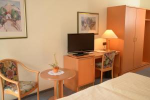 特雷加斯特弗里德里希兰德盖斯特霍夫酒店的一间酒店客房,配有一张床、一台电视和一张桌子