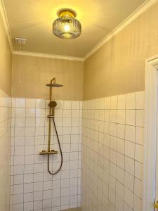 希茨海尔斯Hirtshals Gamle Station的带淋浴的浴室