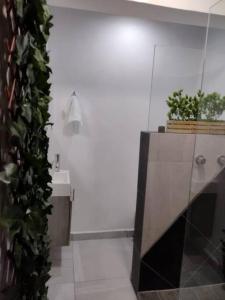 马塔莫罗斯Departamento en Heroica Matamoros的浴室设有水槽和植物台面