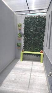 马塔莫罗斯Departamento en Heroica Matamoros的走廊上设有绿色长凳的绿色墙壁