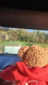 基利赫维林Glamping Pod Thady Killynick County Fermanagh的红色连衣裙的泰迪熊,看着车窗