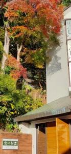 热海熱海温泉　実の別荘的一座树上树叶倒下的建筑