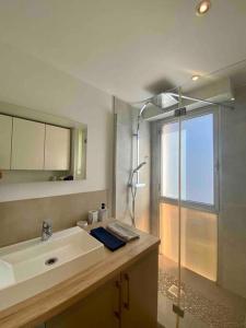 尼斯Cocon ensoleillé avec parking gratuit的一间带水槽和玻璃淋浴的浴室