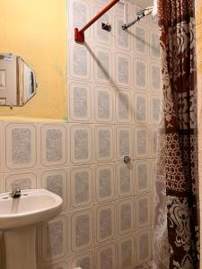 危地马拉Hotel Canaan La aurora的一间带水槽和淋浴帘的浴室