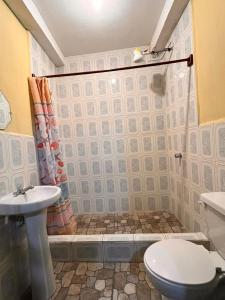 危地马拉Hotel Canaan La aurora的带淋浴、卫生间和盥洗盆的浴室