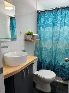 纳塔列斯港Casa Entre Glaciares的浴室配有水槽、卫生间和浴帘