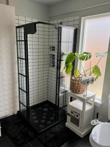 波特兰Private NE Portland Guesthouse的一间带淋浴的浴室,里面装有植物