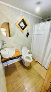 库拉考廷Gran Cabaña con tinaja privada, Curacautín C的一间带卫生间、水槽和镜子的浴室