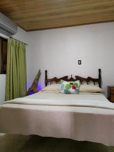 蓬塔雷纳斯Casa Victoria的一间卧室配有一张带绿色窗帘的大床