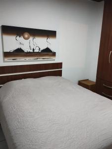 弗洛里亚诺波利斯Apartamento Rafaelli的卧室配有一张床,墙上挂着一幅画