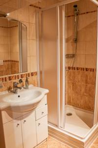 米洛维采Penzion Kotvas的一间带水槽和淋浴的浴室