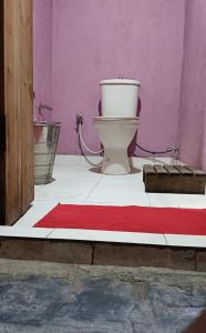 SāhiyaChaani Churani的一间带卫生间和红色地毯的浴室