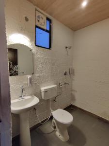 瑞诗凯诗The Sweven NeerVan的一间带卫生间、水槽和镜子的浴室