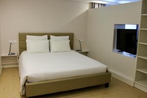 昂特赞Strasbourg Entzheim的一间卧室配有一张床和一台平面电视
