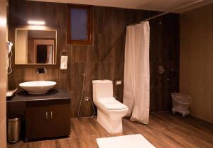 佩林Kaya Gantavya Resort的一间带卫生间和水槽的浴室