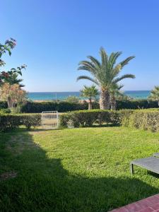 纳布勒Dar el Zyne的一个带长凳和棕榈树的公园和海洋