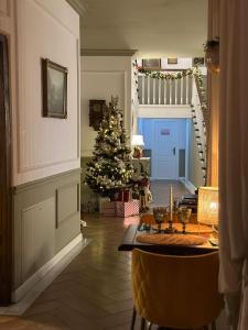 胡内多阿拉La Fontaine的一间客厅,里面摆放着圣诞树