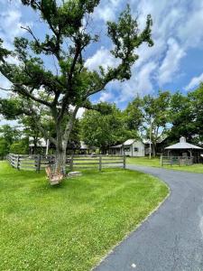 劳伦斯堡Bourbon Trail Cabin on the Farm的坐在路边草上的一棵树