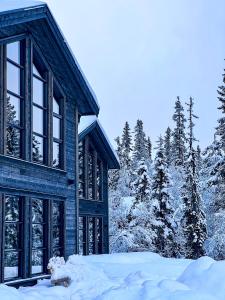NoresundNorebu - Norefjell的雪中绿树成荫的蓝色房子