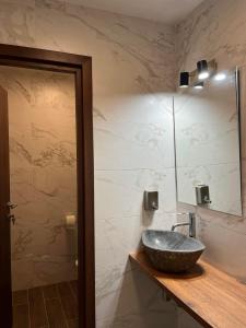博尔沙Pensiunea Cascada的一间带石制水槽和镜子的浴室