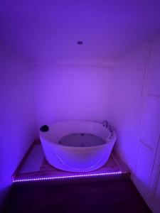 SerdinyaCharmant appartement baignoire的一间紫色客房,在客房内设有一个大浴缸