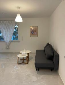 维也纳附近格拉斯多夫Fancy Big Apartment的客厅配有黑色沙发和桌子