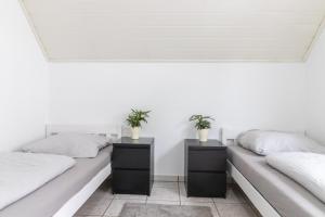科隆Ferienwohnung/Messewohnung的白色客房内的两张带植物的床