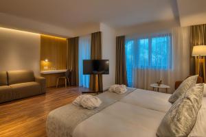 多博戈科Cardoner Hotel és Konferenciaközpont的酒店客房设有一张大床和一台电视。