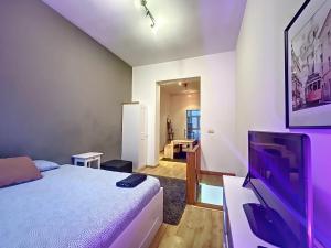 布鲁塞尔Cosy Apartment Brussels - Flagey的一间卧室配有一张床和一台平面电视