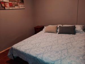 托梅Casa Bellavista Full Equipada的卧室内的一张带两个枕头的床